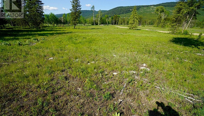 Lot 3 Mary G Road - Photo 1