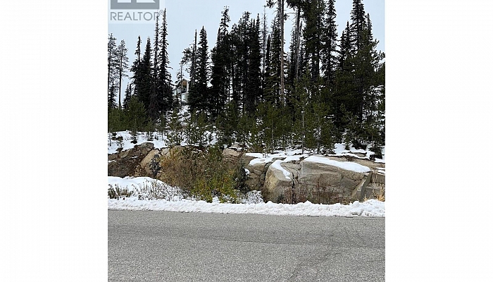 Lot 9 Snowpines Way - Photo 1