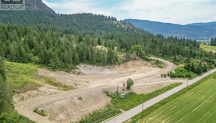 229 Enderby Grindrod Road - Photo 1