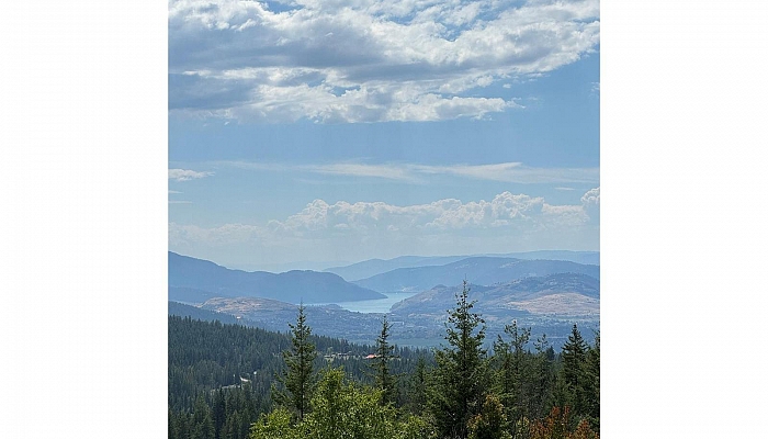 7974 Silver Star Road - Photo 1