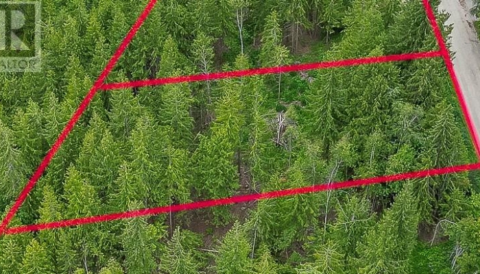 119 Timberlane Road - Photo 1