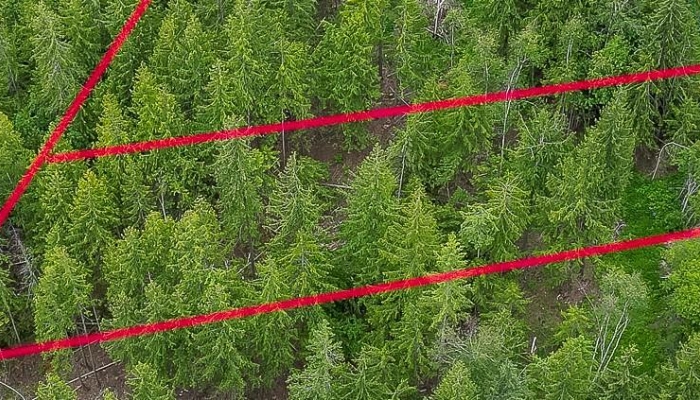 125 Timberlane Road - Photo 1