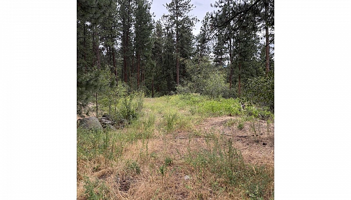 Glencoe Road Lot# 64 - Photo 1