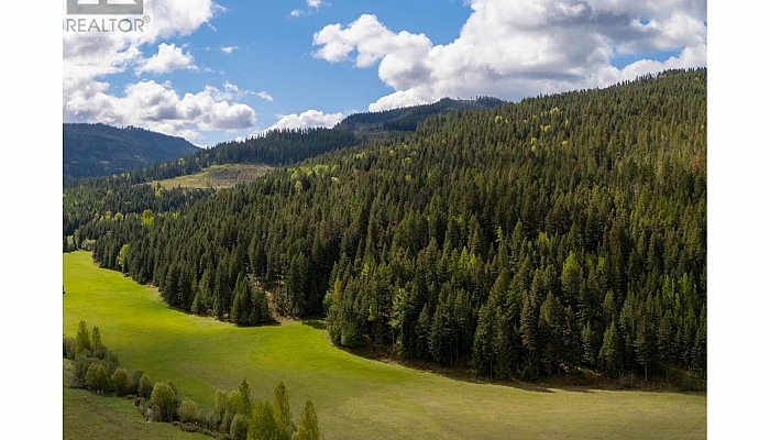 DL5135 Highway 33 E Highway - Photo 1