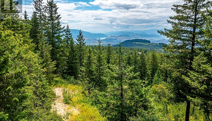 7928 Aspen Road - Photo 1