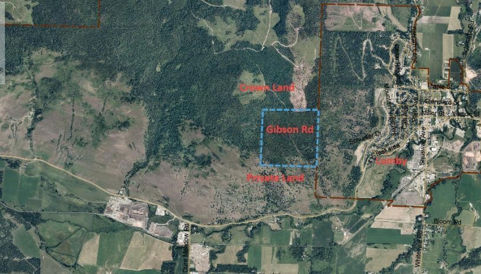 Lot 1 & 2 Gibson Road - Photo 1