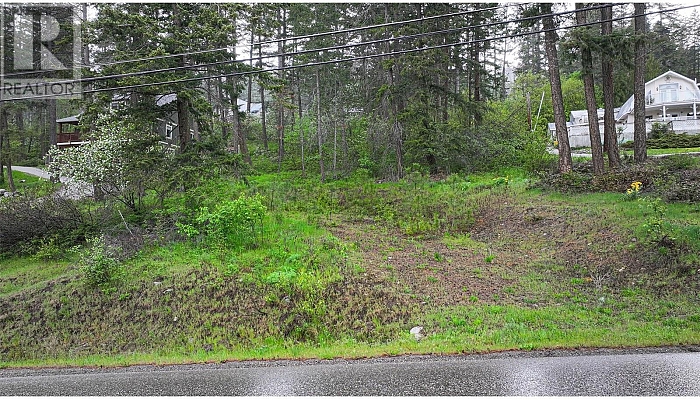 Lot 146 Westside Road - Photo 1