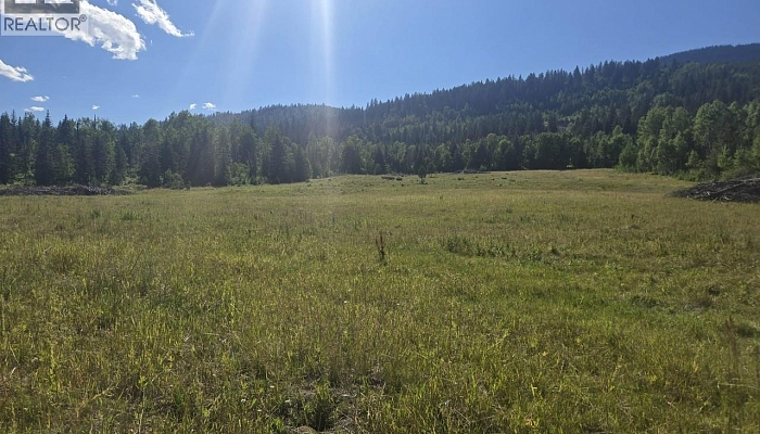 3680 Miller Lake FSR Forest - Photo 1