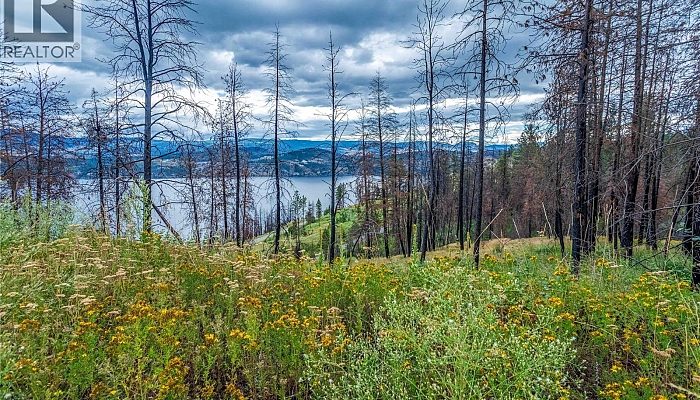 1750 Westside Road N Lot# 3 - Photo 1