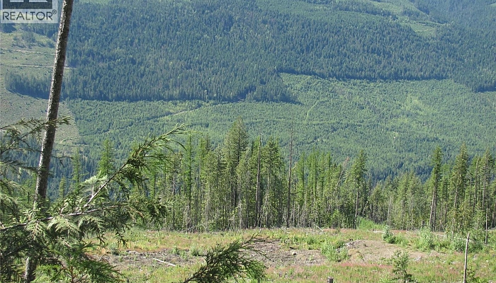 130Acres Sugar Lake-Sihlis Road - Photo 1