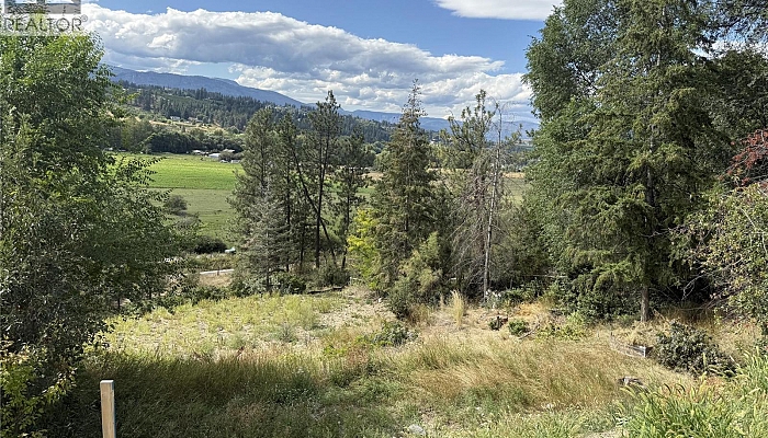 Proposed lot C -10544 Bonnie Drive - Photo 1