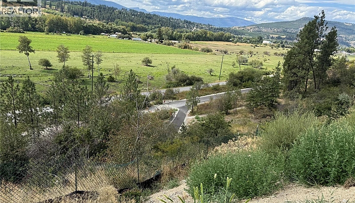 Proposed Lot A -10544 Bonnie Drive - Photo 1