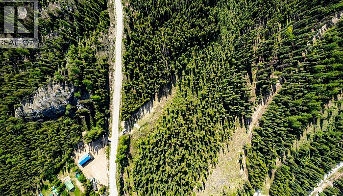 Lot #1 Paradise Road - Photo 1