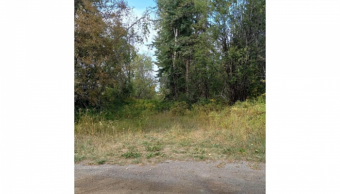 Hitchcock Road - Photo 1