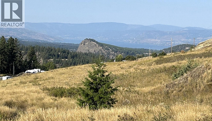 Lot 1 Hwy 33 Highway E - Photo 1