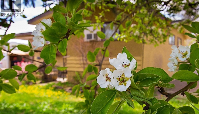 3606 Old Okanagan Highway - Photo 1
