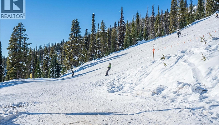 7375 Porcupine Road Unit# B6 Lot# 13 - Photo 1