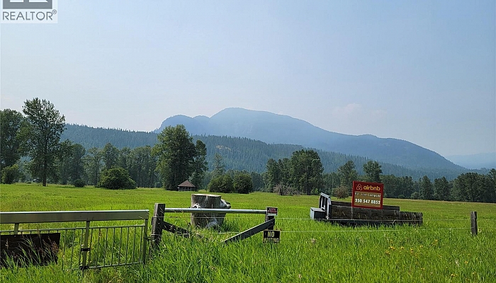 3022 Mabel Lake Road - Photo 1