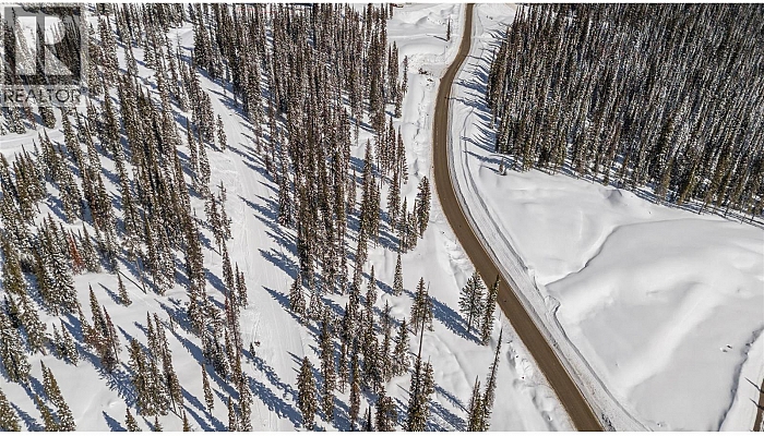 4 Black Forest Road Lot# 4 - Photo 1