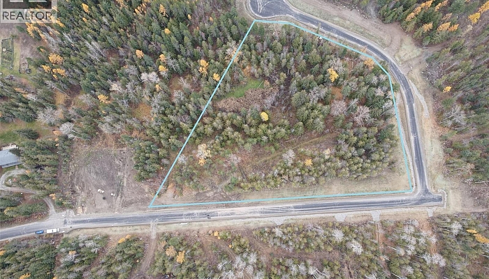 Lot 2 Lincoln Road - Photo 1