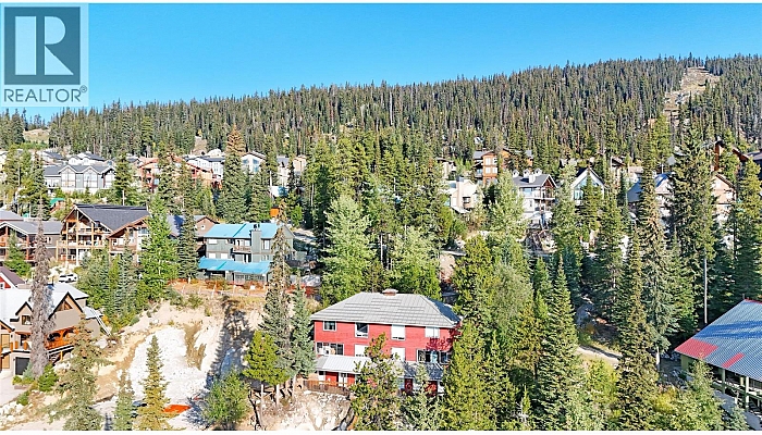 4890D Snowpines Road - Photo 1