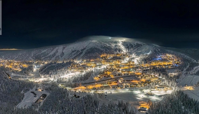 DL4259 Black Forest Road - Photo 1