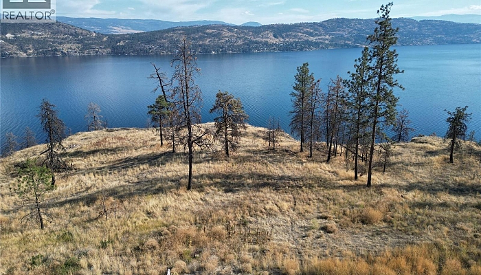 Westside Road Lot# 1 - Photo 1