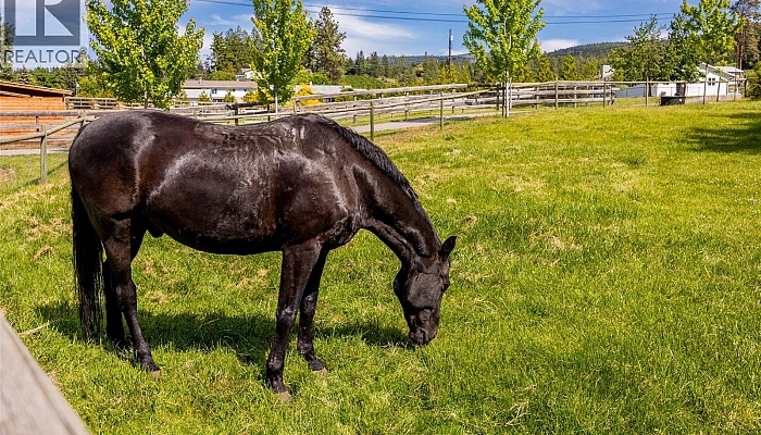 4284 Jaud Road - Photo 1