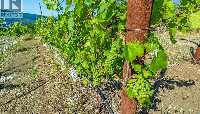 9269 Highway 6 - Photo 1