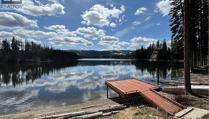 2701 Peachland Forestry Service Road - Photo 1