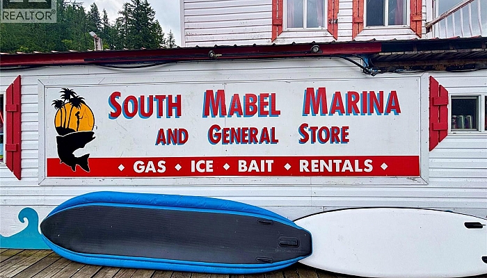 3614 Lumby Mabel Lake Road - Photo 1