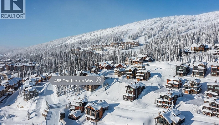 455 Feathertop Way - Photo 1