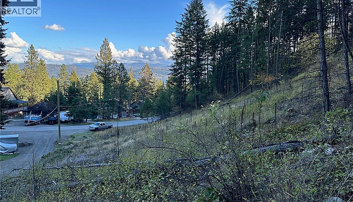 10732 Westshore Road - Photo 1