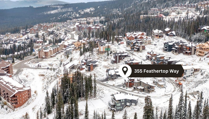 355 Feathertop Way - Photo 1