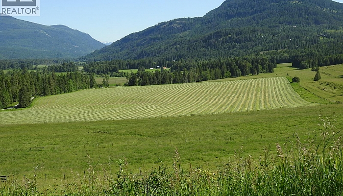 43 Sigalet Road - Photo 1