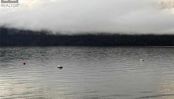 8700 Mabel Lake Road - Photo 1