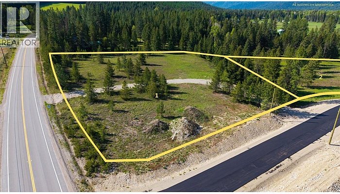 Lot 1 Mary G Road - Photo 1