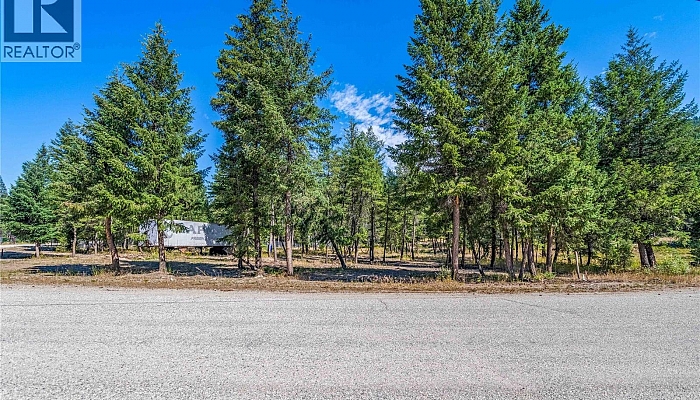 33 Pringle Road - Photo 1