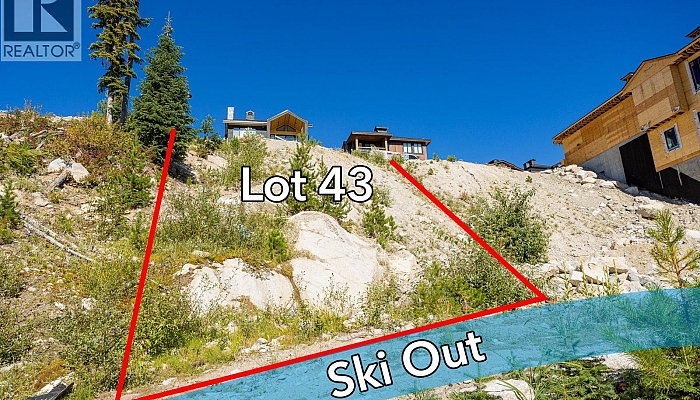 465 Feathertop Way - Photo 1