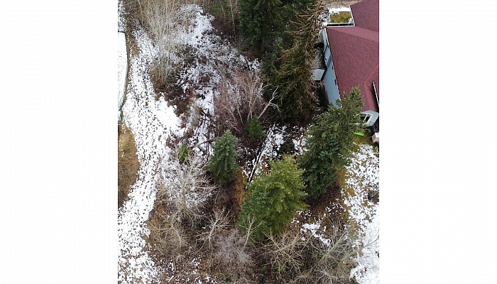 2557 Cedar Ridge Court - Photo 1