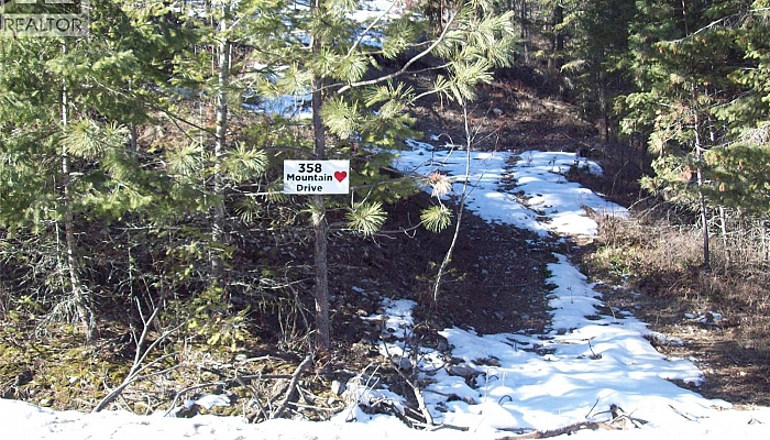 358 Mountain Drive - Photo 1